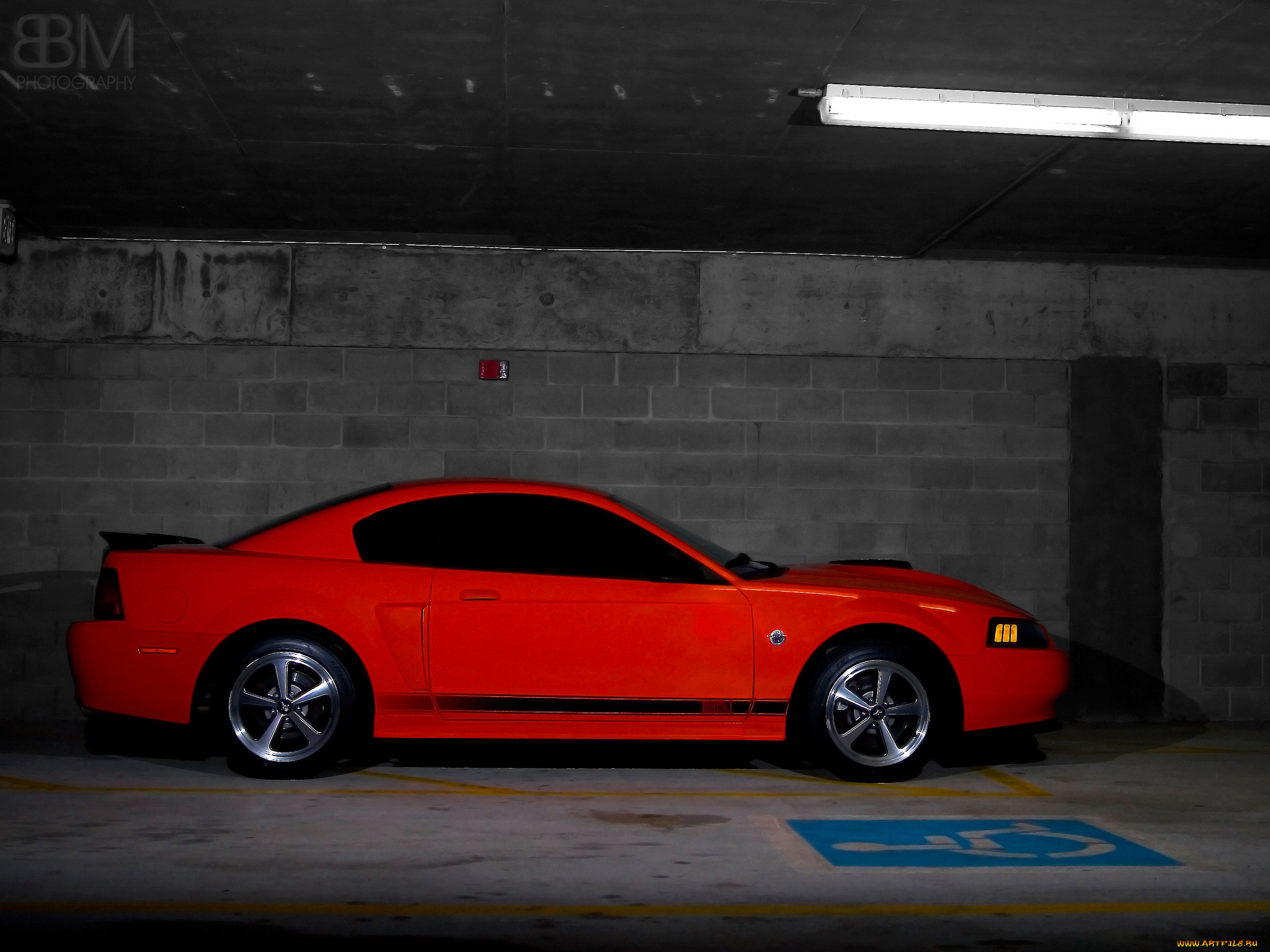 , mustang